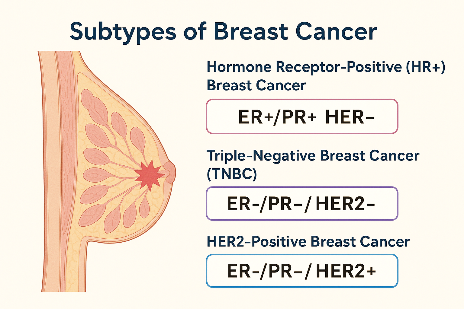 Understanding the Different Subtypes of Breast Cancer: Why It Matters ...