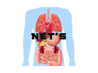 Neuroendocrine tumours (NETs)